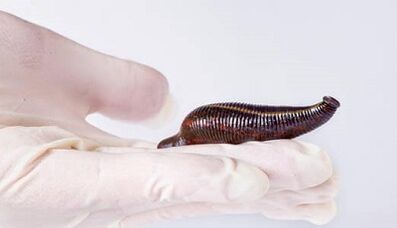 leech cream to enlarge member