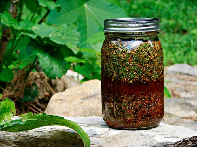 Wormwood decoction will help increase the size of the male genitalia